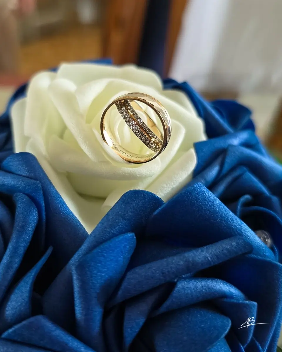Les alliances posées sur une rose blanche, au milieu de rubans bleus