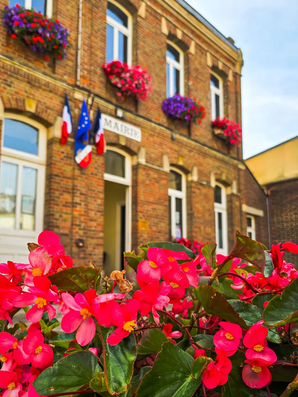 Une mairie en briques derrière un massif de bégonias rouges